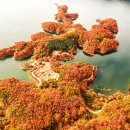 호수길 걷기명상 이미지