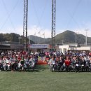 수안보야구장 이미지