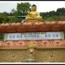 대불금강 이미지