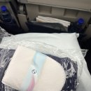 6613 | 대한항공 SV6613 KE952 두바이-인천 기내식 및 후기