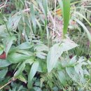 구평동-9 이미지