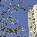 컴포즈커피남양주도농점 - 14770 | 컴포즈커피남양주도농점