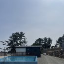 충남 태안 글램핑 우림관광농원글램핑 내돈내산 후기