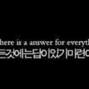 비비디바비디부