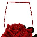 조성숙농장 이미지