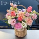 윤정다움플라워