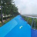 아암대로 이미지