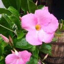 여백이있는날 이미지