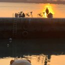 곰돌이맛집 이미지