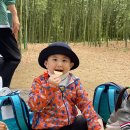 ＜6월 2주＞ 삼호섬 나들이 🎋 &amp; 어린이 환경미화원 ✨ 이미지