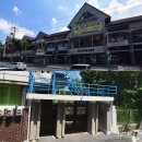 미래로 행정사무소 이미지