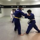 엠핏유도관 이미지