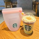 심플푸드 | 스타벅스 실리콘 푸드백 세트 가격 구매 방법 핑크 푸드백 후기
