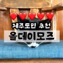 신풍예가 | 제주도민이 추천하는 조천읍 소금빵 맛집 올데이모즈 (고양이 有)