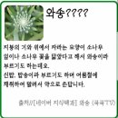 파인락