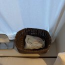 농부의믿는구석 이미지