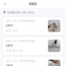 카르펫디엠 강아지유치원 이미지