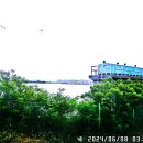 상의길 Daum카페