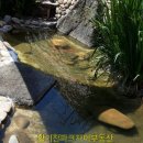 자이황토공인중개사사무소 이미지