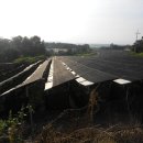 유정농원 이미지