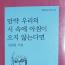 만약 우리의 시 속에 아침이 오지 않는다면/김중일(문학과지성, 2022) 이미지