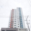 고웰 스테이 네이버블로그