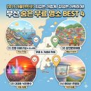 숲해설가와 떠나는 숲 나들이 - 다대포 해안 탐방 | 부산 숨은 무료 명소 BEST 4: 알뜰 여행 가이드
