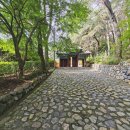 다함께차차카정비 | 금정산 케이블카 등산코스 편도탑승과 하산코스 후기