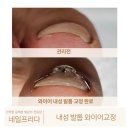 네일프리다 이미지