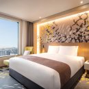 스테이 드래곤 이미지