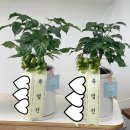 이천동 행정복지센터 이미지