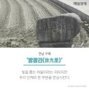 김제동초등학교 이미지