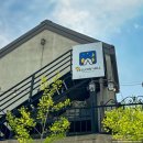 YELLOW HILL(옐로우 힐) 이미지