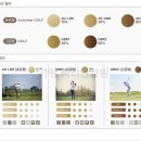 빠리안경원 이미지