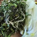 오리의향기 이미지