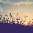 금강고을 이미지