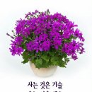 광주헬스케어의원 이미지