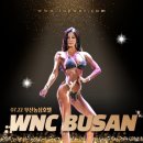 내츄럴 라파