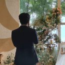 미나축사 네이버블로그