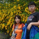 20200505_경남 산청군 황매산 철쭉을 보고(1) 이미지