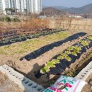 현곡농장 이미지