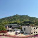 cu원주이편한점 | [원주] 숲 사이로 불어오는 여유, 원주 대형카페 ‘포트힐’ 방문 솔직후기(+ 인생디저트찾음)