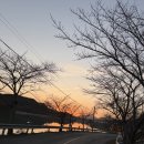 토리글램핑 | [공지] 아이랑 가기 좋은 사천 글램핑｜BBQ 무제한·온수풀 있는 럭셔리 토리글램핑