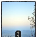 8월 20일8시20분 67번버스: 신남역~금병산~금병초교 이미지