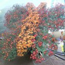 동래원예고등학교 이미지