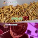 안녕도마뱀 - 유성구 원신흥남로41번길 3-11 | 안녕도마뱀