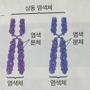2024 12월 대전 여행 기록˚⁎⁺˳✧