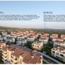 제주신화빌라스 이미지