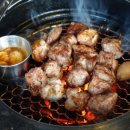 궁평 티스토리