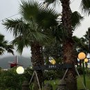 블랙피그엔산방산파크텔 | [산방산맛집] 제주흑돼지맛집 중에서 유일하게 픽업가능한맛집, 블랙피그